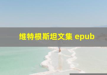 维特根斯坦文集 epub